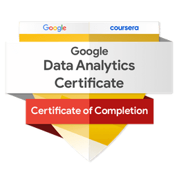 Google Data Analytics Professional Certificate